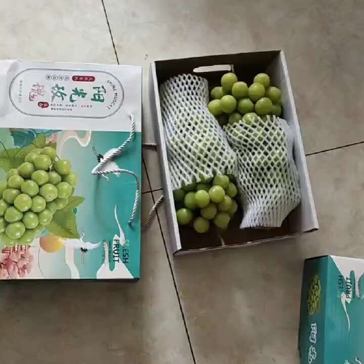 海盐县阳光玫瑰上市，单串3.5斤左右，