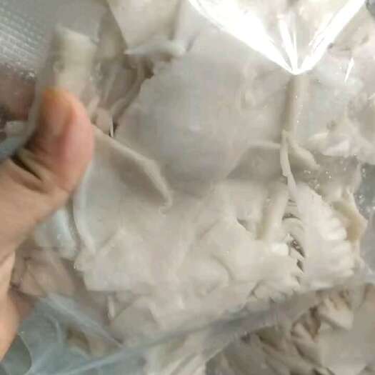 儋州市海南 鲜笋 一斤装，密封袋装