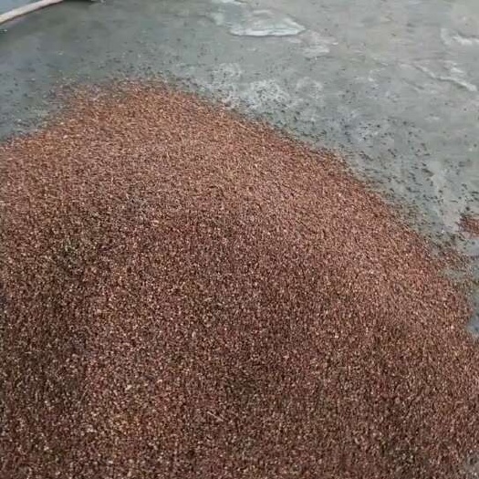 陇南花椒
