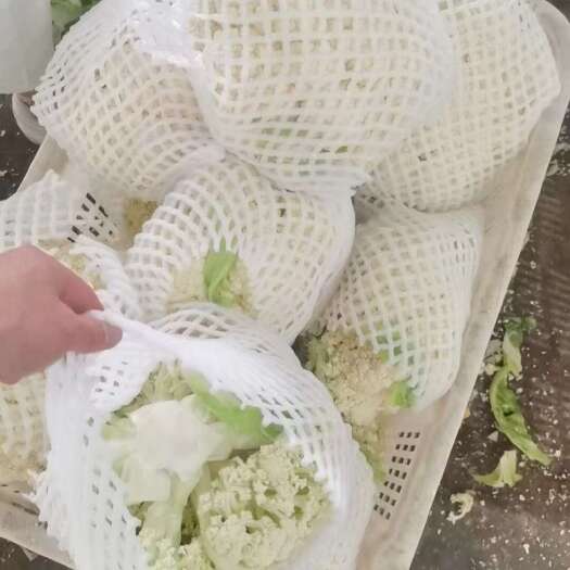 沽源县花菜 产地直供 一手货源 质量保障 支持视频看货