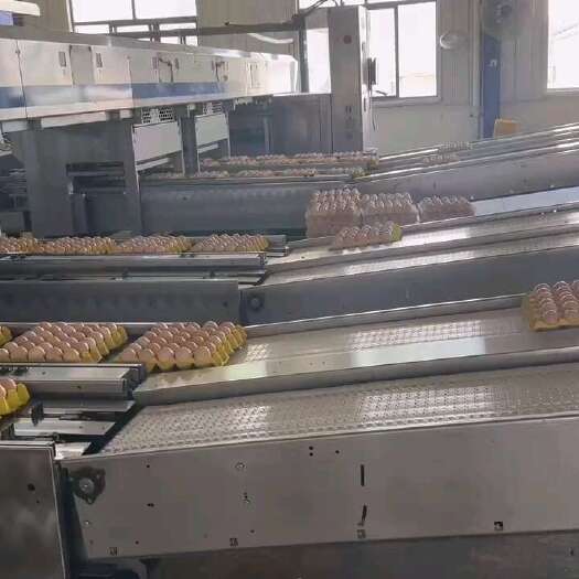 重庆市鸡蛋