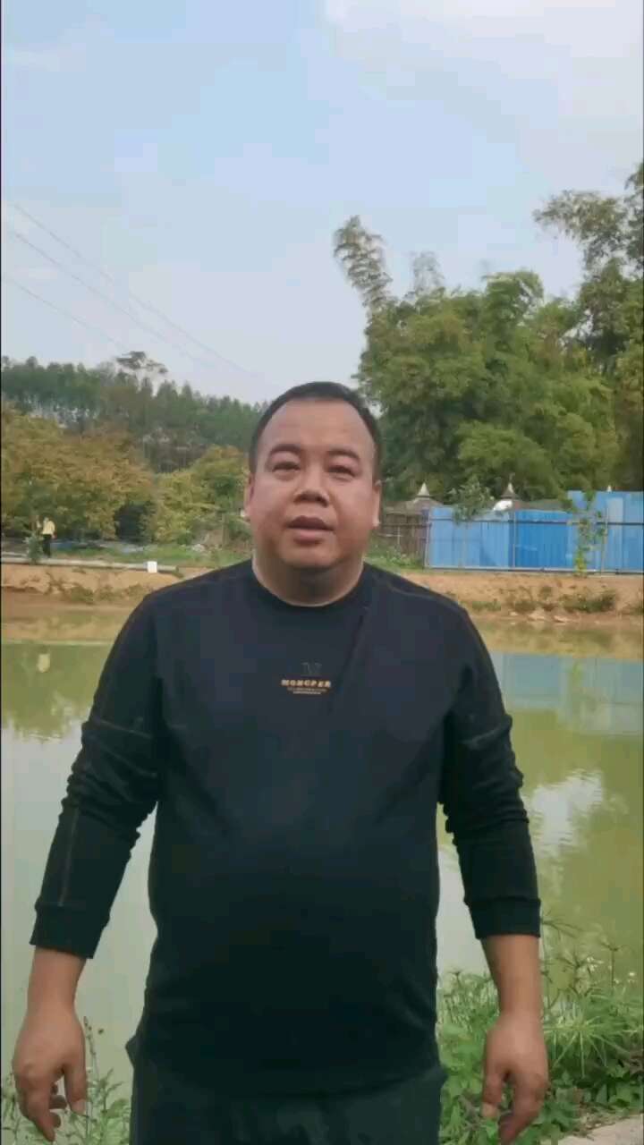 虫螨腈虱螨脲12%甜菜夜蛾肉虫青虫正品农药打虫药杀虫剂批发