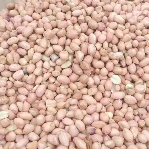 邹城市花生米油料米，精品米，品种齐全，价格优惠，