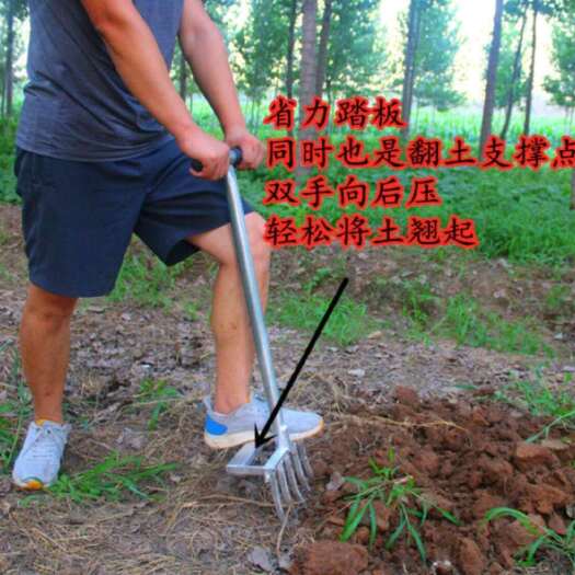 叉子实心加厚翻地松土器四股钢叉挖姜挖大葱蒜药材开荒四齿叉