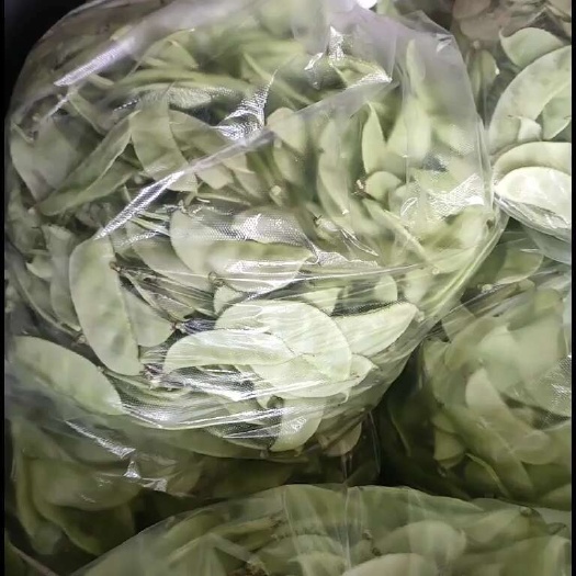 淮安绿扁豆