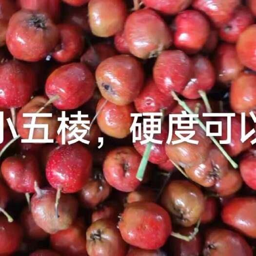 平邑县小五棱山楂批发，30斤一箱80元