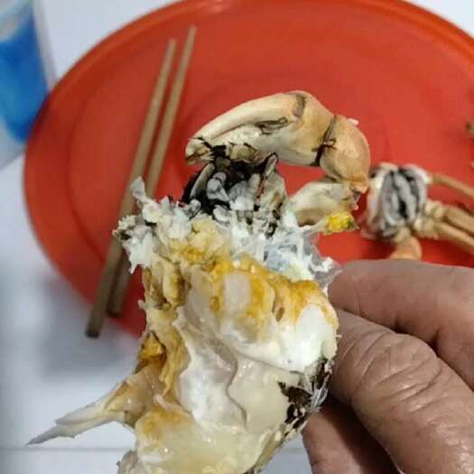 盘锦盘锦大河蟹，味道鲜美