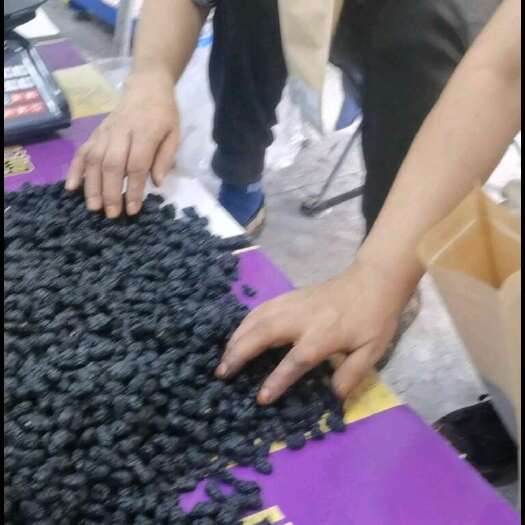 盐边县桑葚干