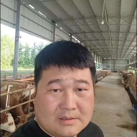 黄梅县牛