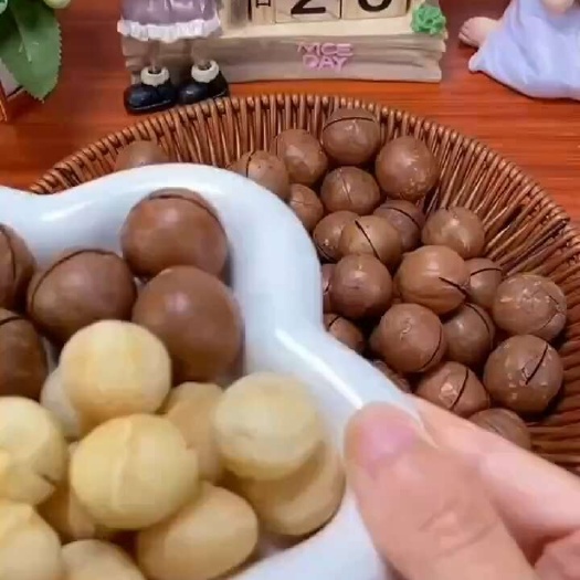 永德县澳洲坚果夏威夷果产区直销干货批发支持一件代发