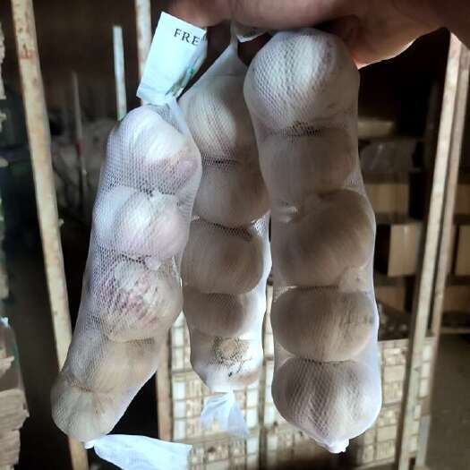沂水县精品白皮大蒜