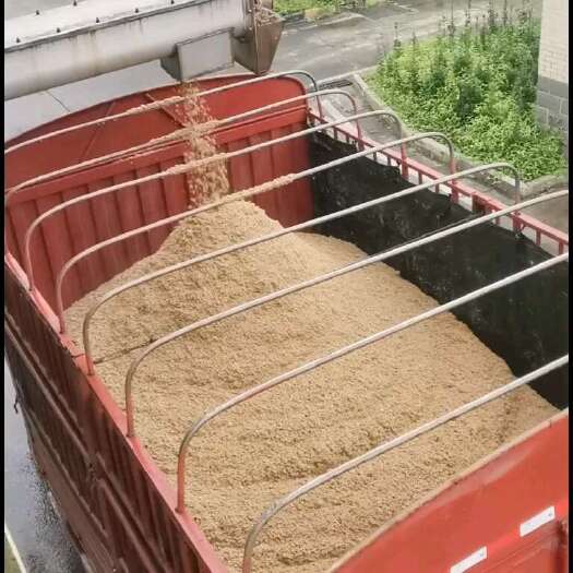 临澧县啤酒糟