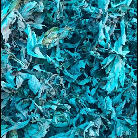 商洛艾叶 中药材 陕西省商洛市商州区直发  用于传统中医调理