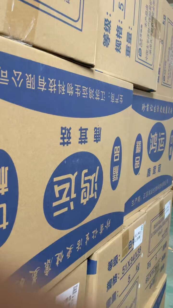  鹿茸菇鹿茸鸡油菇直销一手货源、精品场地直销各种规格齐全