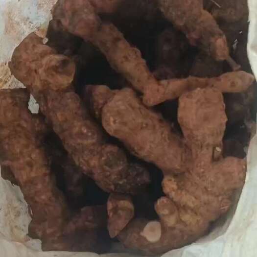 江门肇庆本地土茯苓，大土，中土茯苓鲜货，本地土茯苓白肉