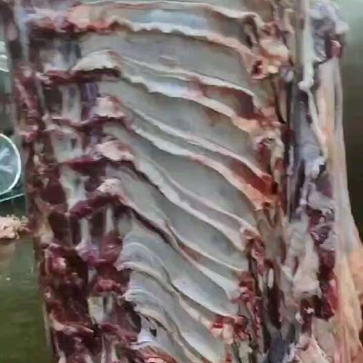 大厂县鲜牛肉