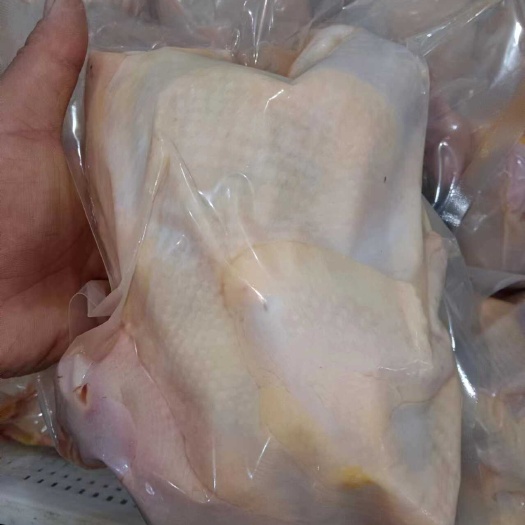 真空包装老母鸡 新鲜冷冻老母鸡 社区团购淘汰鸡蛋鸡煲汤椒麻鸡