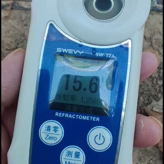 潜江市阳光玫瑰精品果，电商果