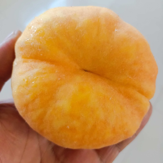 莱西市黄蟠桃