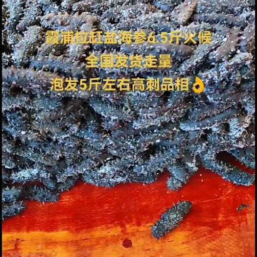 霞浦县半干海参拉缸盐海参