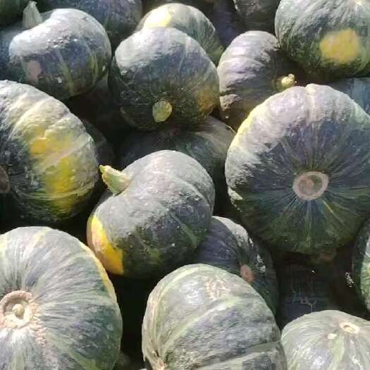 吴起县南瓜