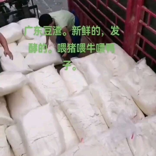 深圳豆渣