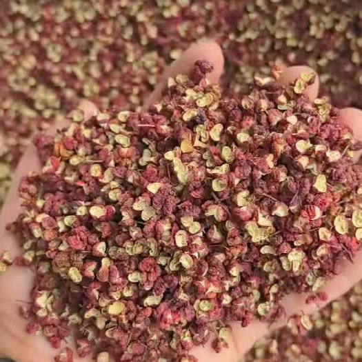毕节四川茂文椒 开口好麻香味十足  色泽鲜艳