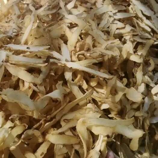 耒阳市无硫玉竹片湖南玉竹片湘玉竹玉竹干片源头工厂