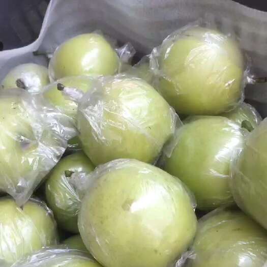隆尧县皇冠梨