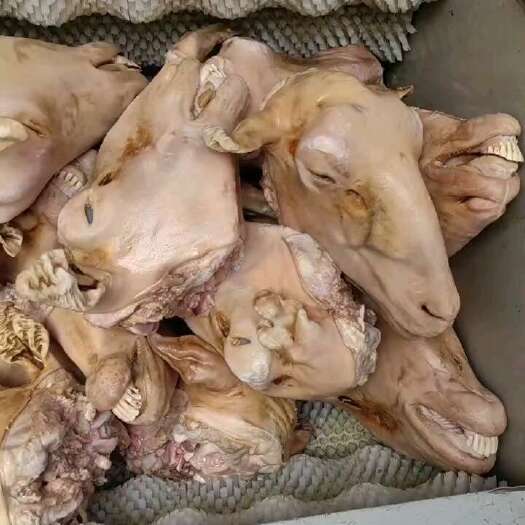 郓城县火烧羊头带皮