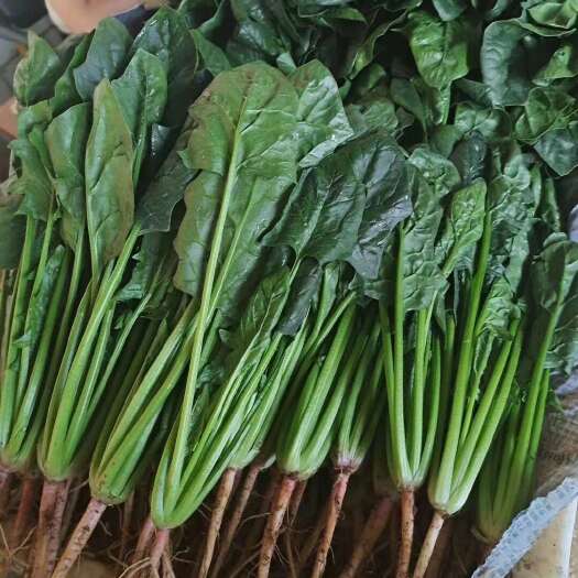 昆明产地蔬菜