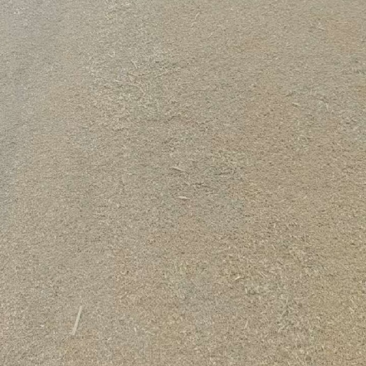 阜阳碎小麦