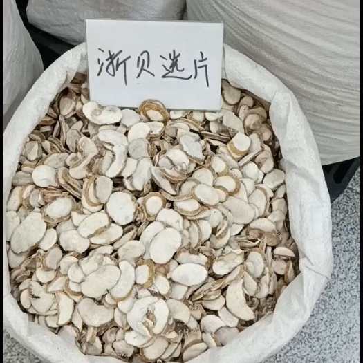 亳州浙贝母【浙贝母】产地一手货源大货供应规格齐全量大优惠。