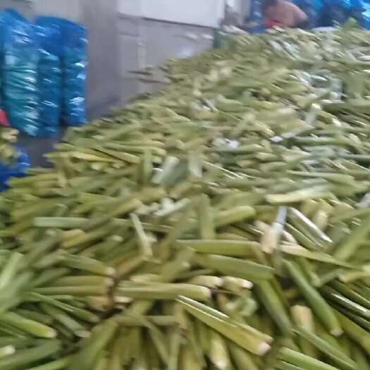 岳西县茭白