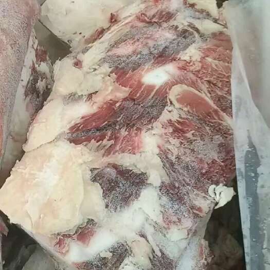 肃宁县牛排