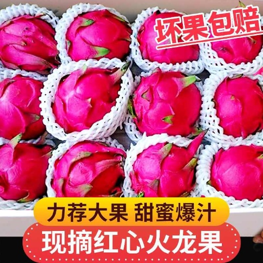 南宁当季火龙果整箱新鲜现摘红心火龙果批发价味甜薄皮批发