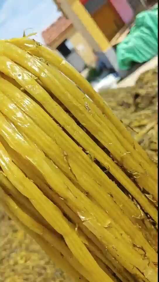 大量批发腌渍半成品雪菜
