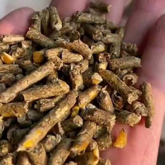 嘉祥县牛羊饲料花生秧玉米熟化颗粒料