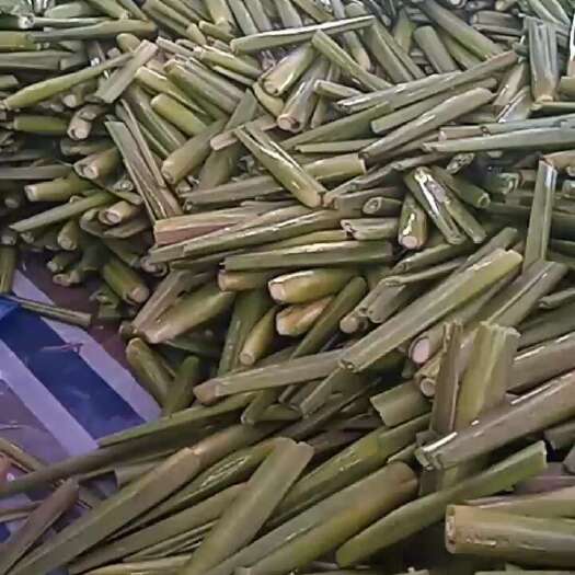 岳西县茭白