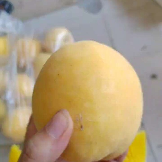 石棉县晚熟锦绣黄桃