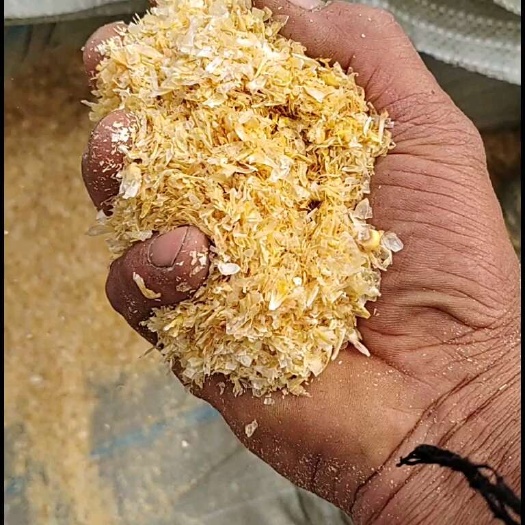 保定玉米皮