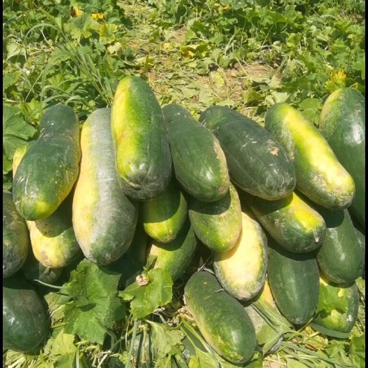 黑金刚大量有货，有需要的速联系，手慢则无