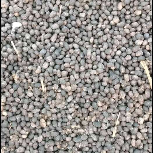 新沂市纯羊粪蛋一手货源