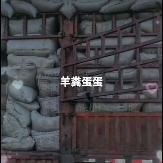 新沂市羊粪蛋