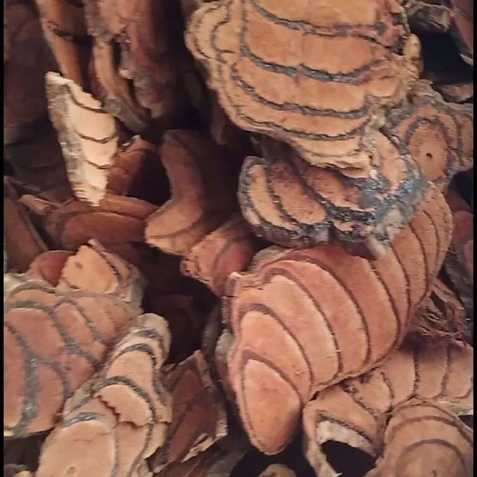 玉林鸡血藤中药批发一手货源量大忧惠