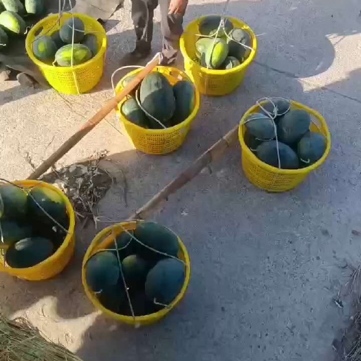 黑美人…几毛钱