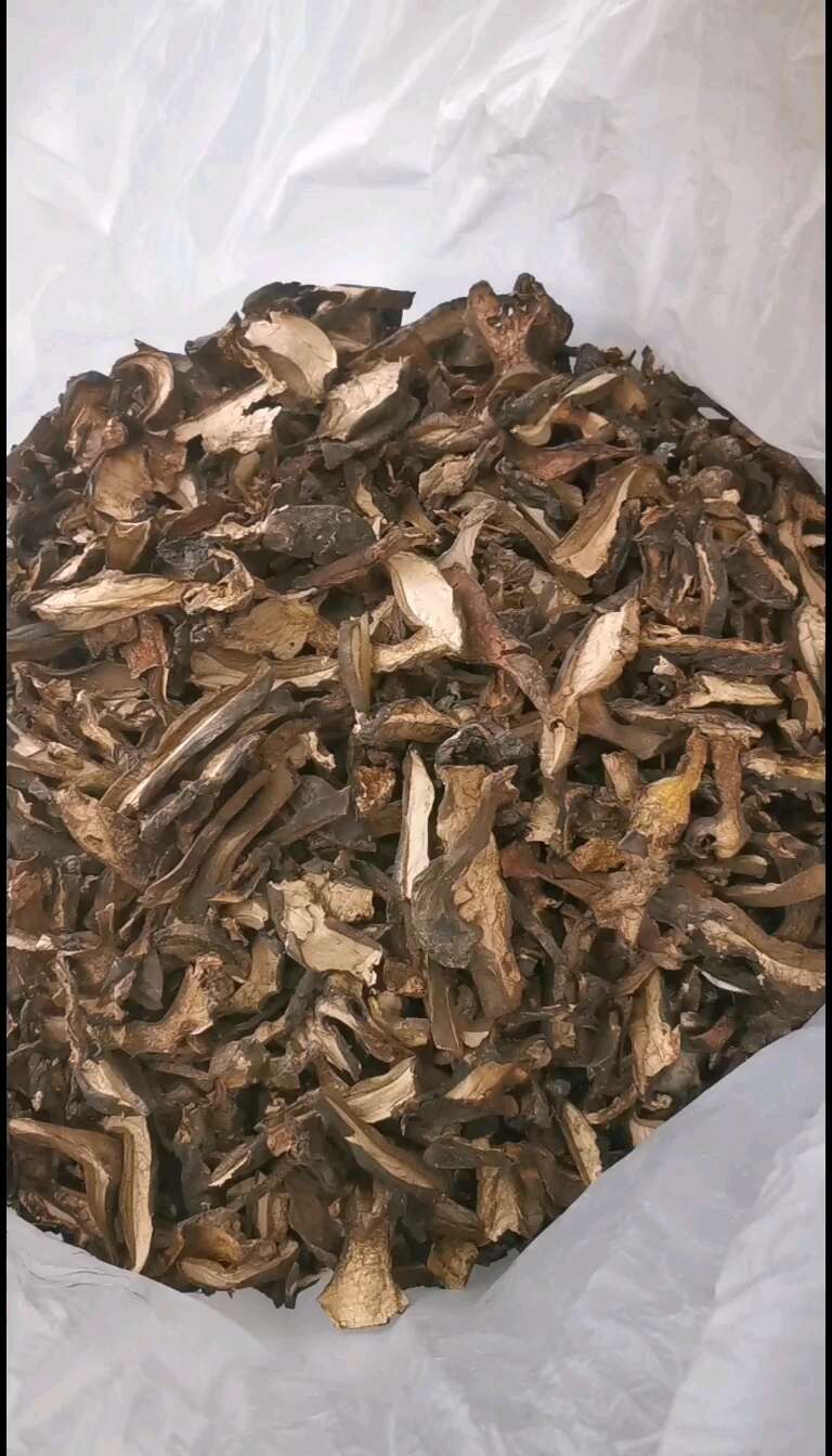 黑牛肝菌、黑魔王干货（2024年新货）