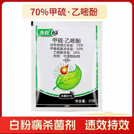 中迅洗白甲基硫菌灵乙嘧酚月季草莓黄瓜番茄甜瓜苹果白粉病杀菌