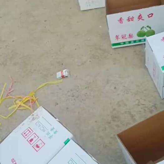 宜城市黄花梨