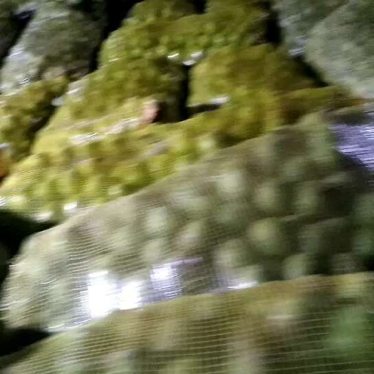 黄龙县香菱核桃